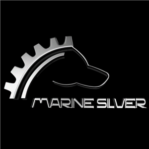Marine silver 3D 商标设计